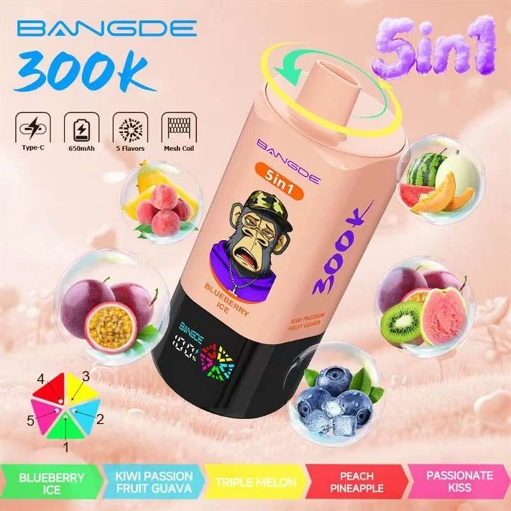 BANG DE 300K 5in1 best BANG DE 300K 5in1 best