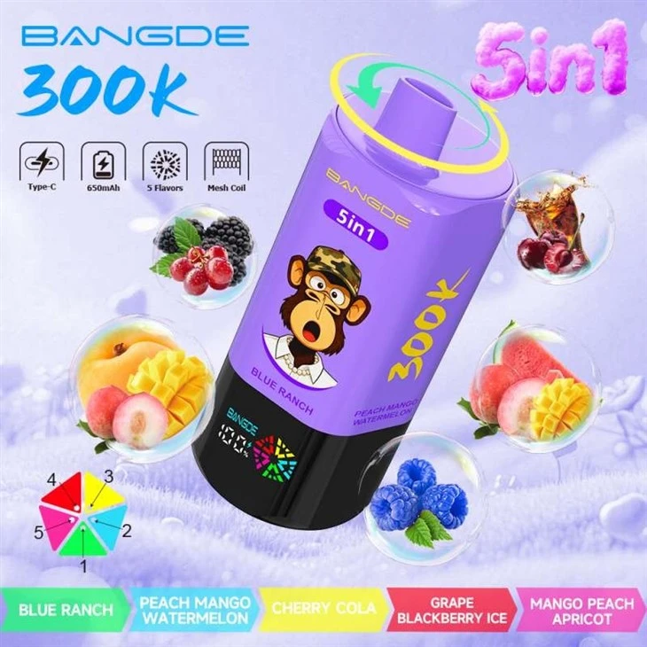 BANG DE 300K 5in1 suppliers BANG DE 300K 5in1 suppliers