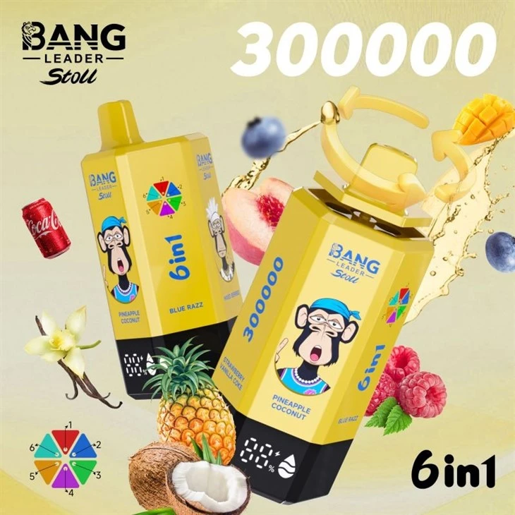 Bang Leader 300000 factory Bang Leader 300000 factory