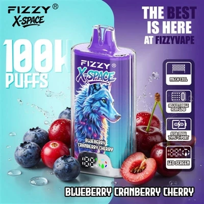 Fizzy 100K X Space: Mhu Xejn Rimarkabbli Għal Apparat Li Jdum Ħin Tul; Il-Pro...